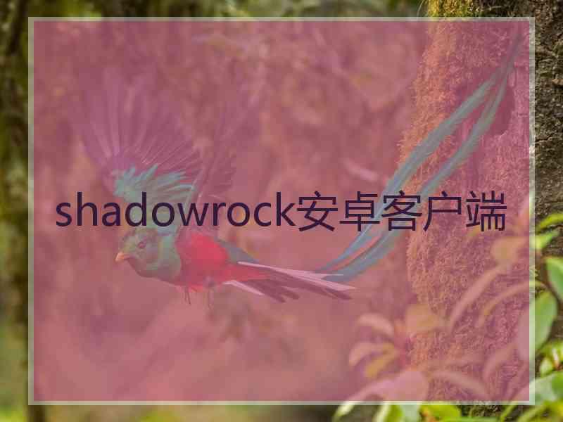 shadowrock安卓客户端