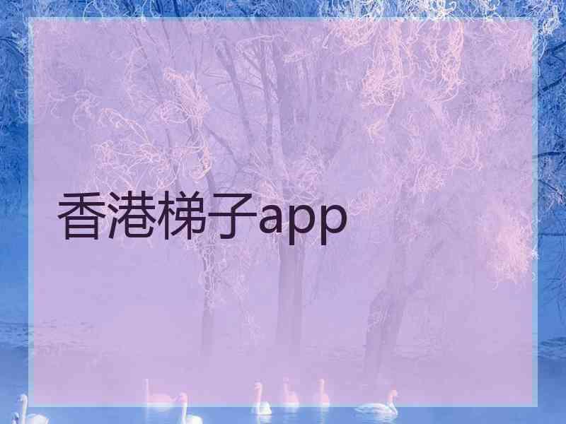 香港梯子app