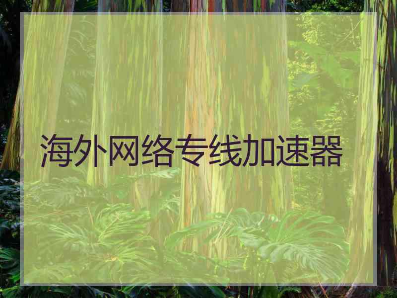海外网络专线加速器