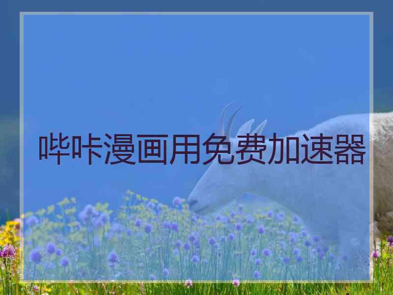 哔咔漫画用免费加速器