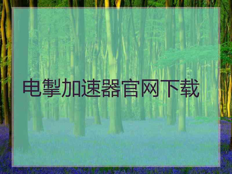 电掣加速器官网下载