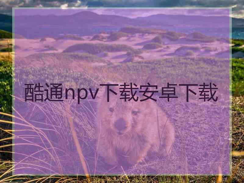 酷通npv下载安卓下载