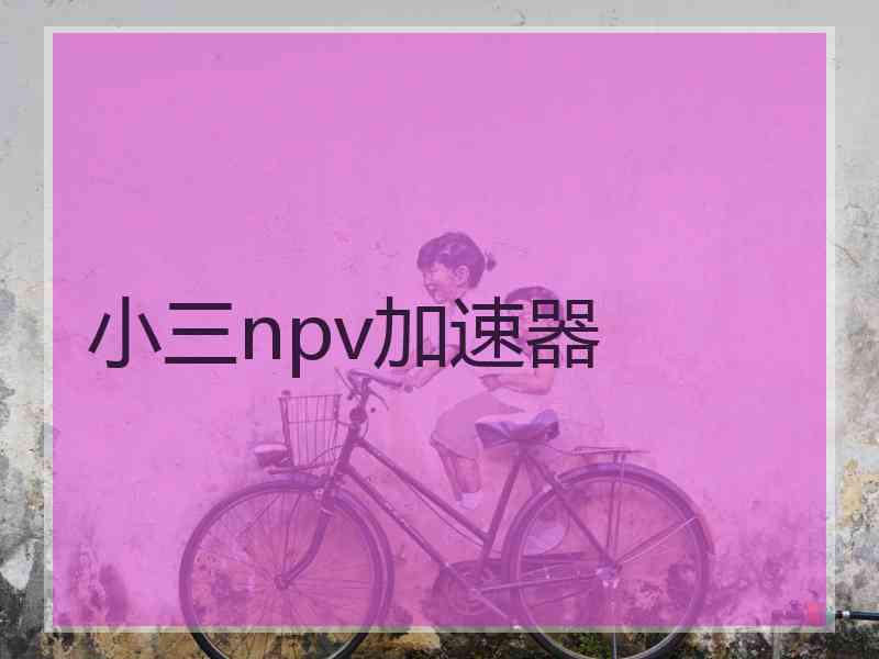 小三npv加速器