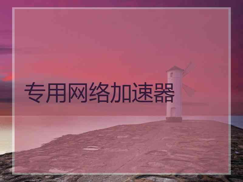 专用网络加速器