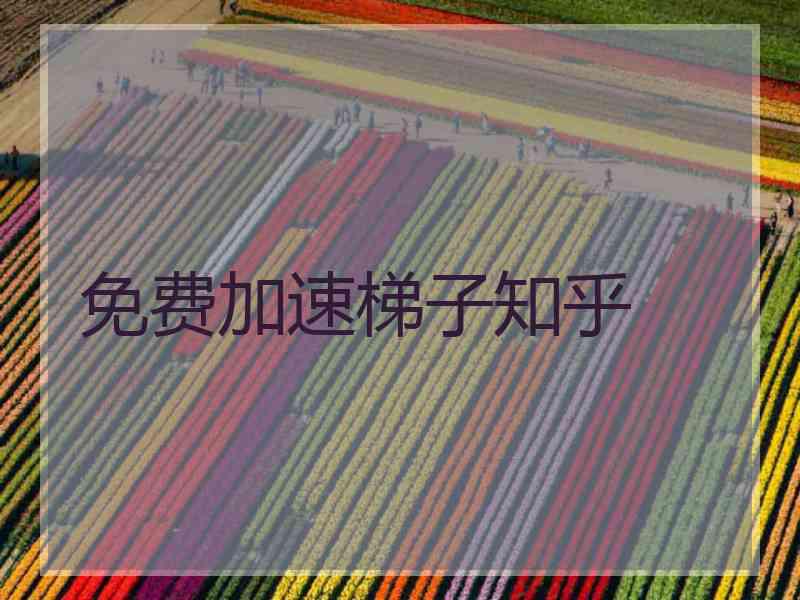 免费加速梯子知乎