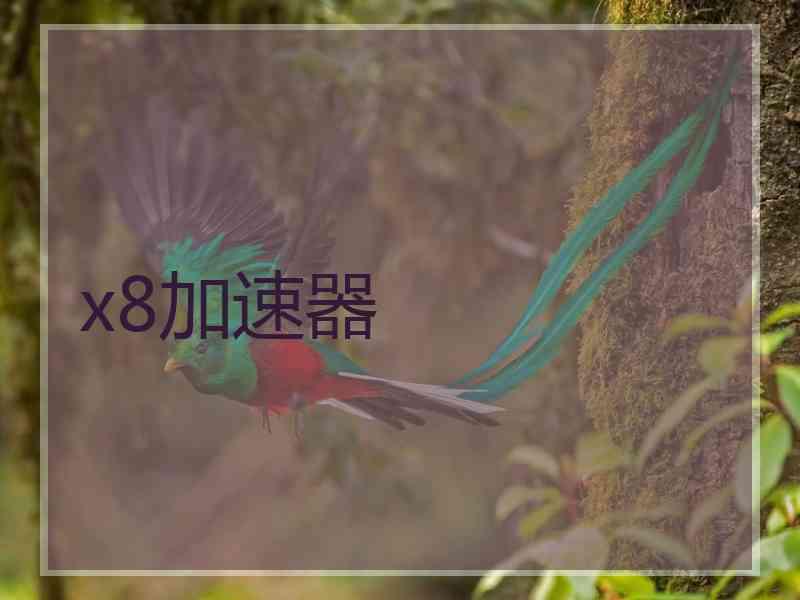x8加速器