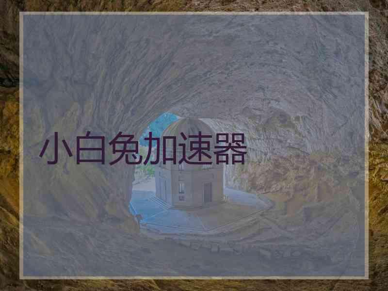 小白兔加速器