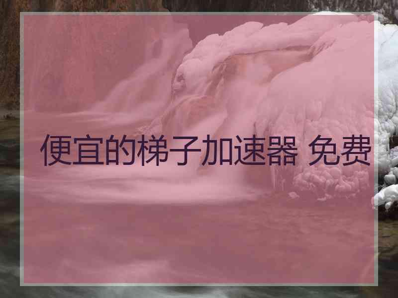 便宜的梯子加速器 免费