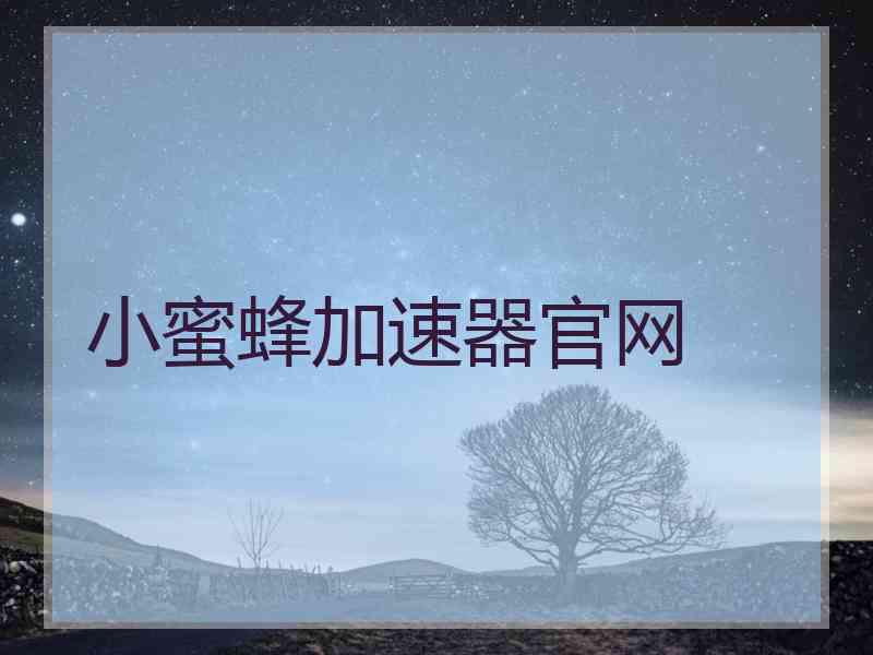小蜜蜂加速器官网