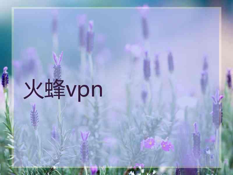 火蜂vpn