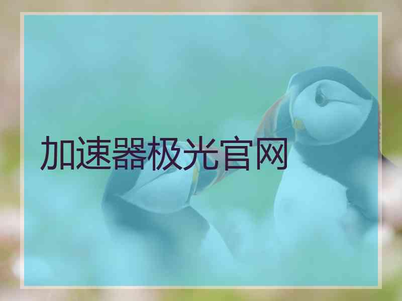 加速器极光官网