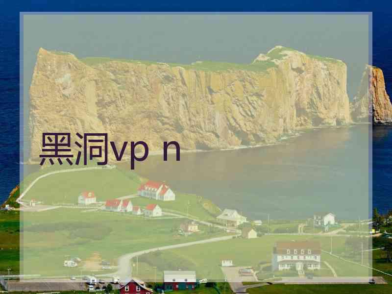 黑洞vp n
