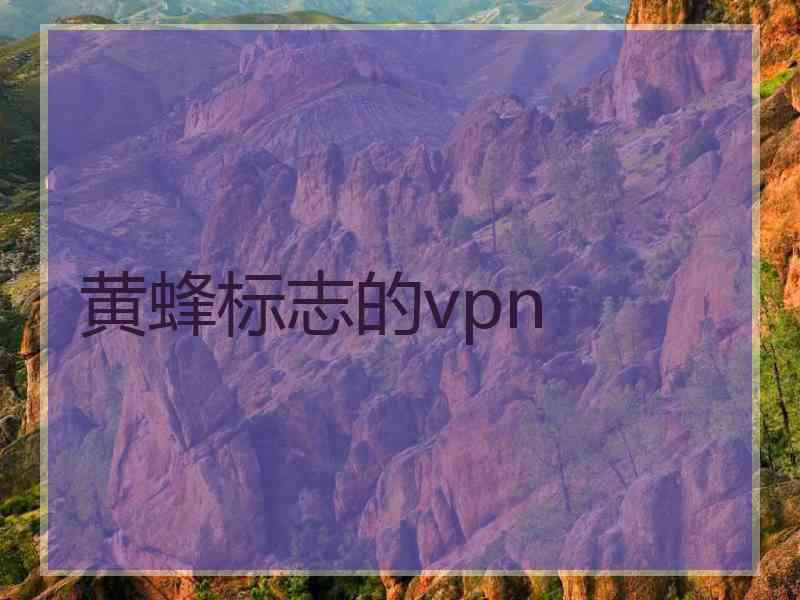 黄蜂标志的vpn