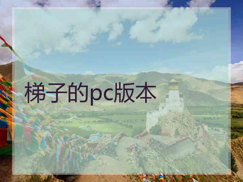 梯子的pc版本