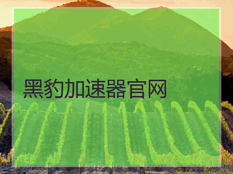 黑豹加速器官网