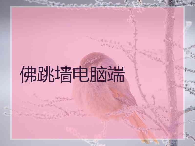 佛跳墙电脑端