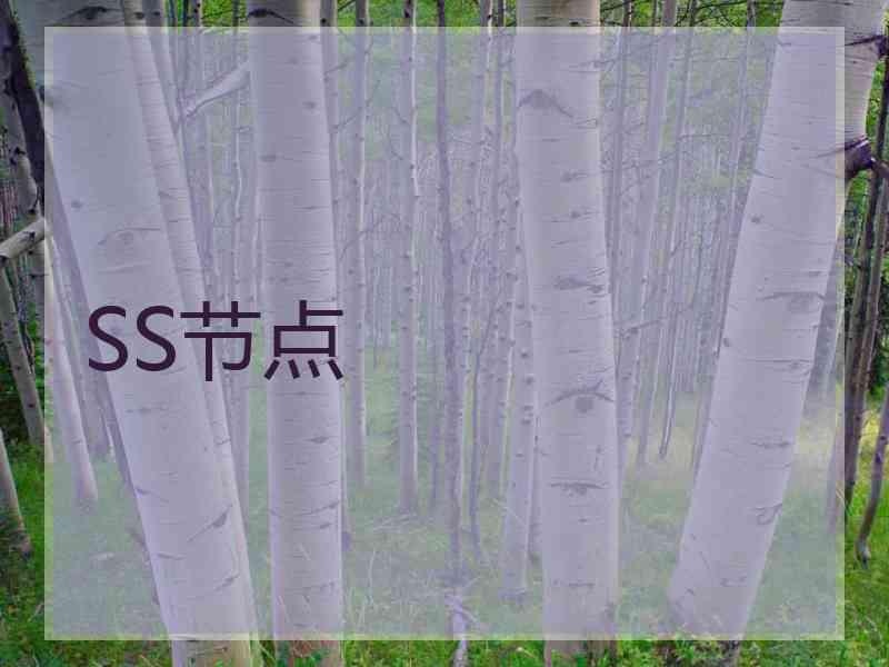 SS节点
