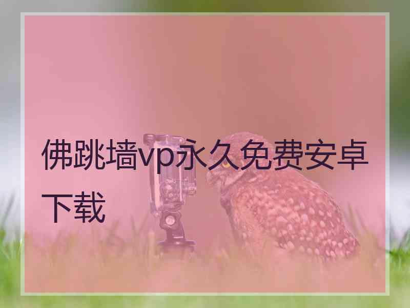 佛跳墙vp永久免费安卓下载