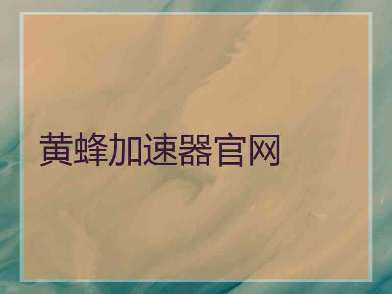 黄蜂加速器官网