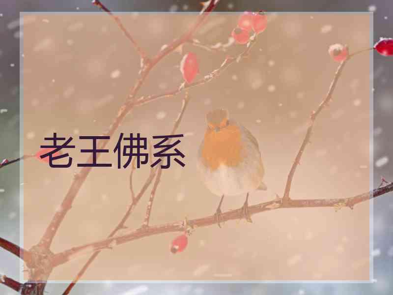 老王佛系