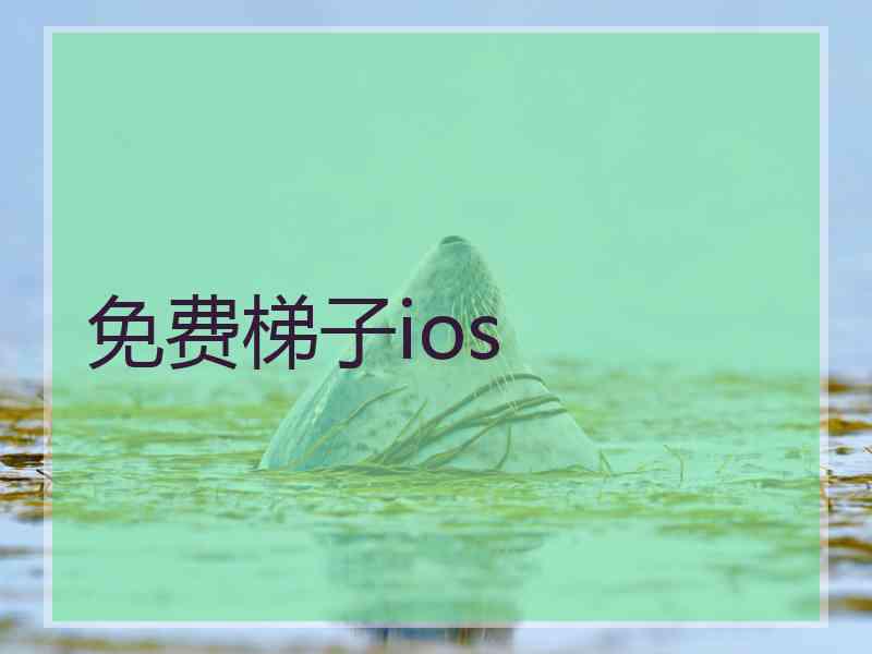 免费梯子ios
