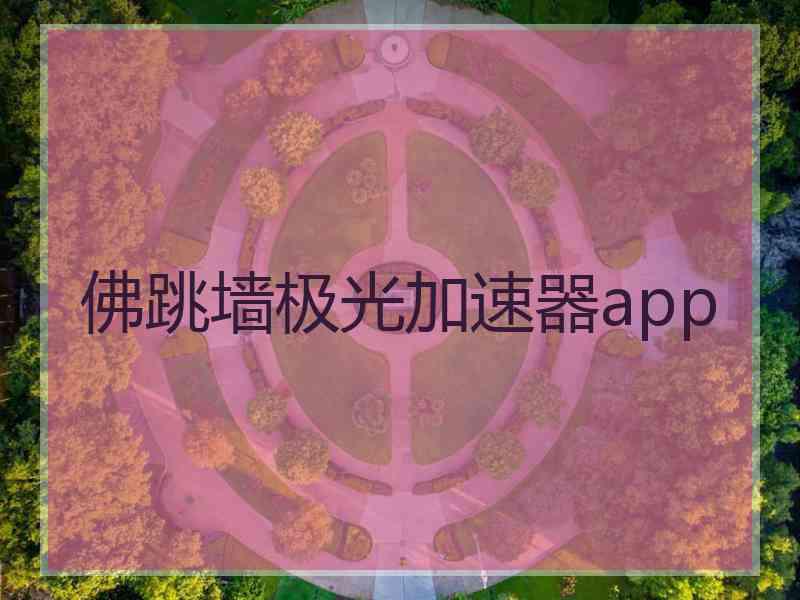 佛跳墙极光加速器app