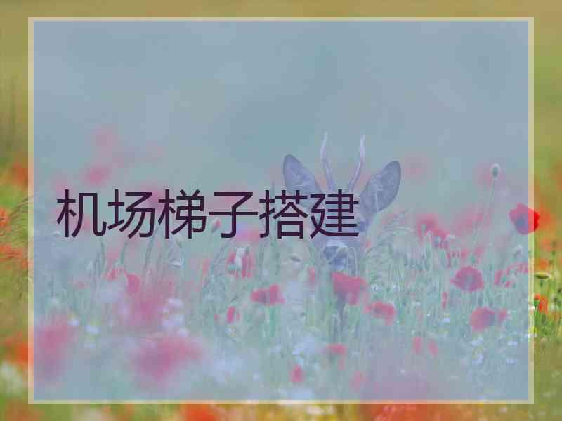 机场梯子搭建