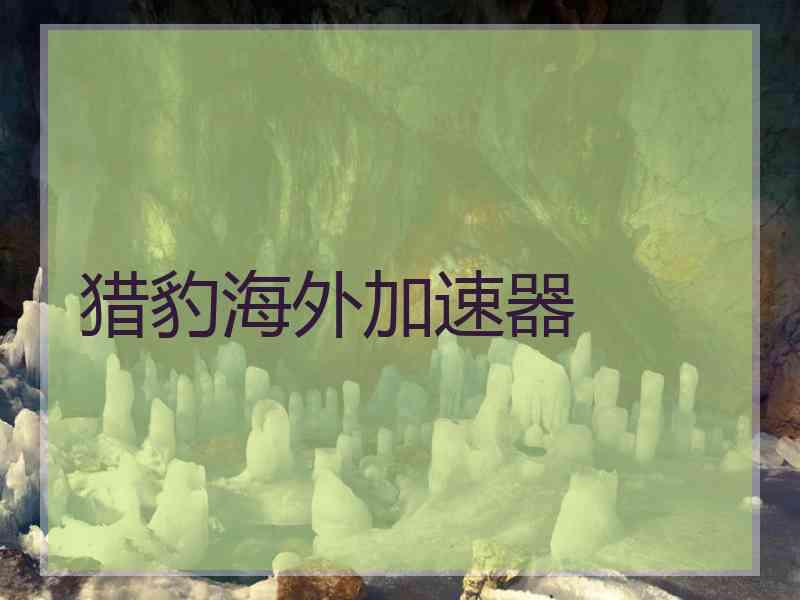 猎豹海外加速器