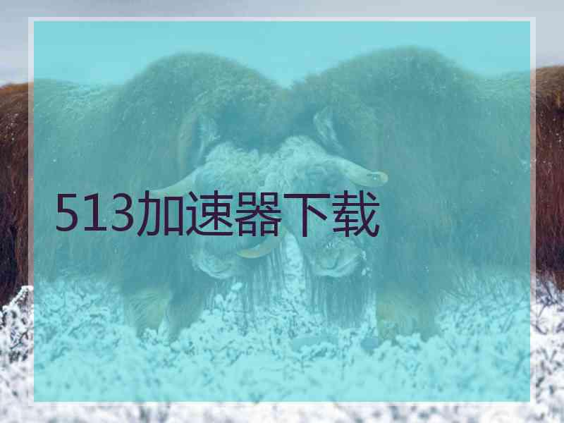 513加速器下载