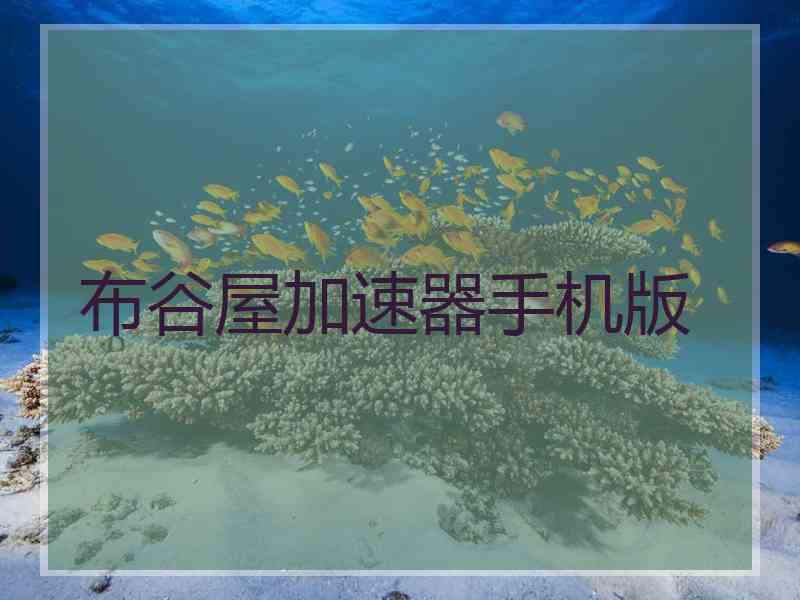 布谷屋加速器手机版