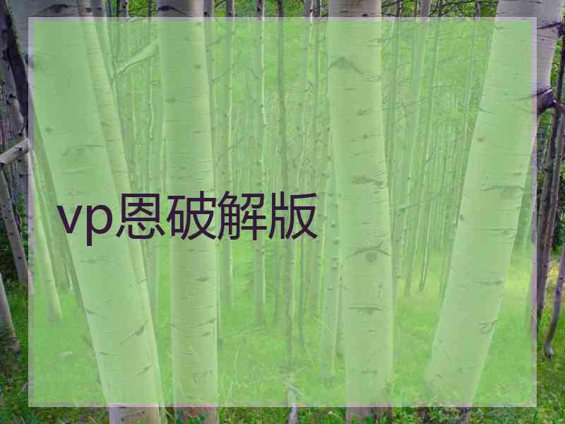 vp恩破解版