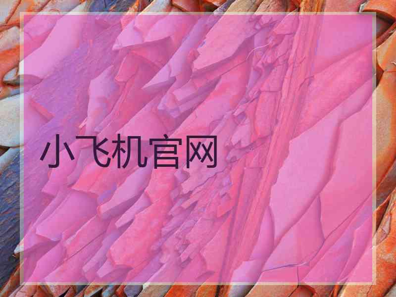 小飞机官网