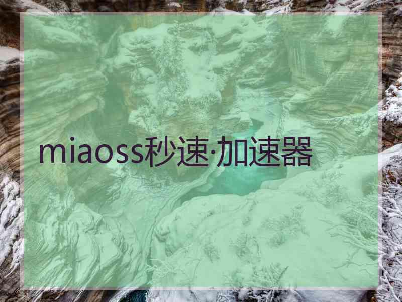 miaoss秒速·加速器