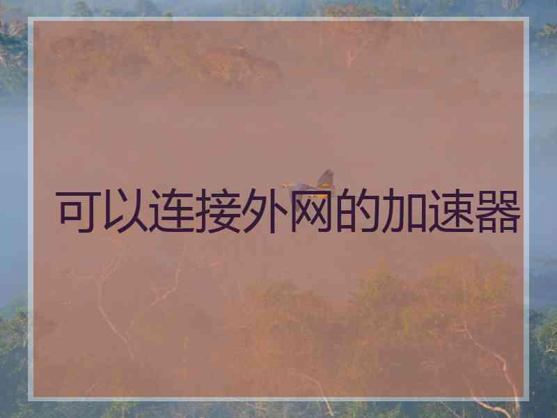 可以连接外网的加速器