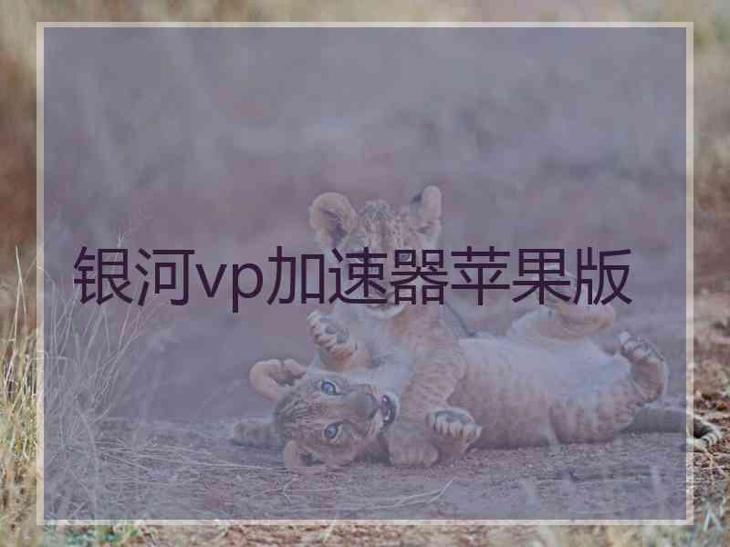 银河vp加速器苹果版
