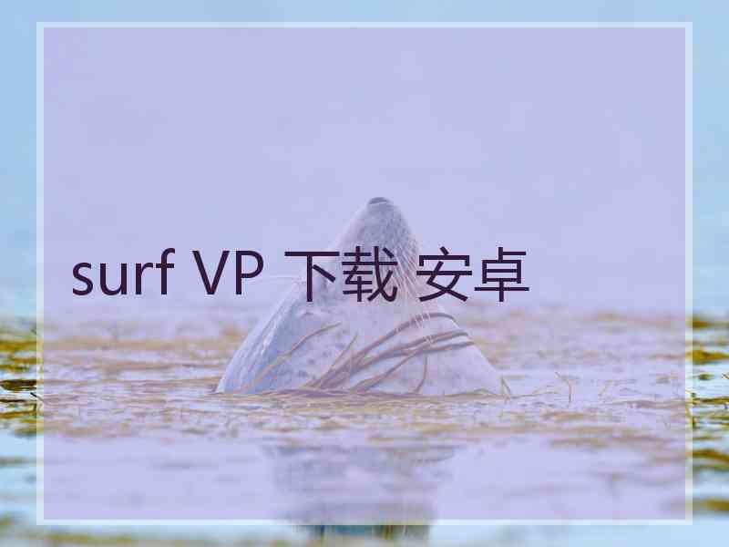 surf VP 下载 安卓