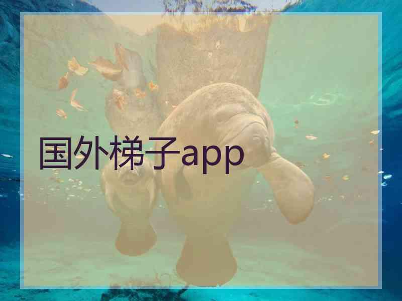 国外梯子app