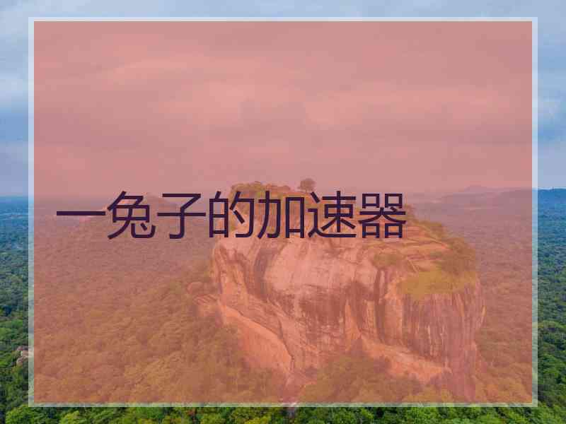 一兔子的加速器