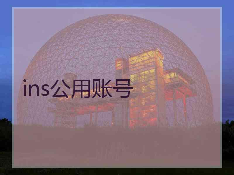 ins公用账号