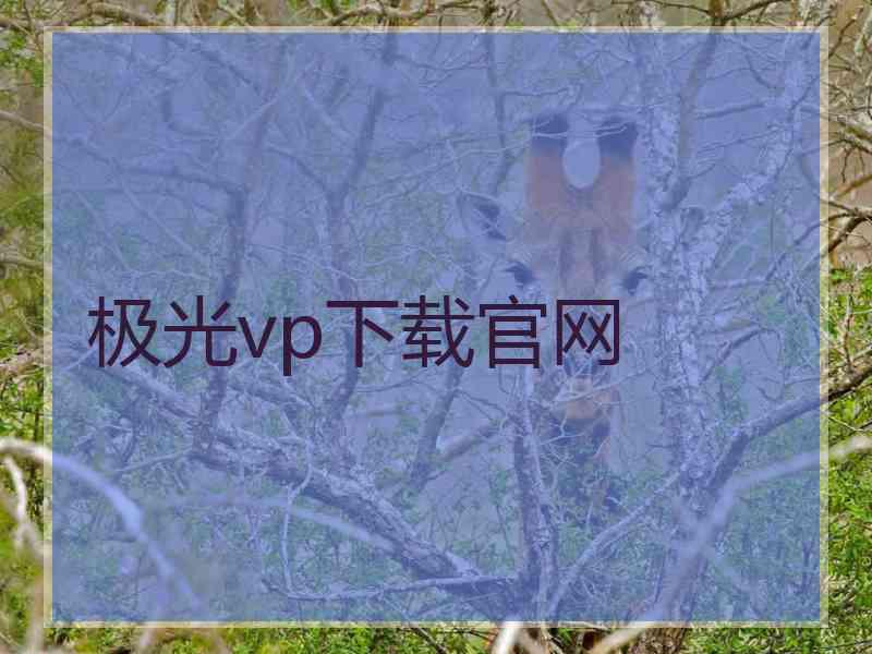 极光vp下载官网