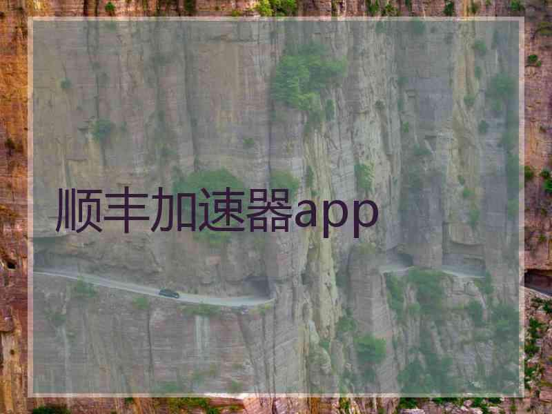 顺丰加速器app