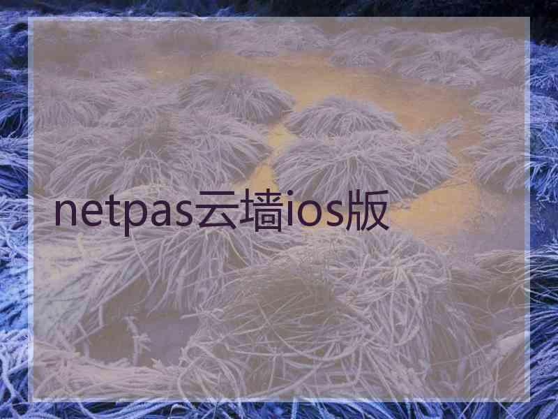 netpas云墙ios版