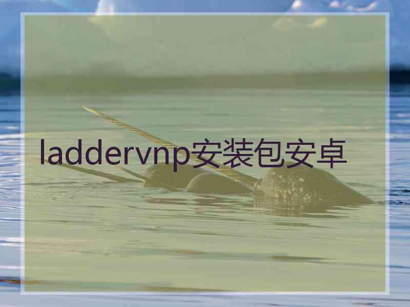 laddervnp安装包安卓