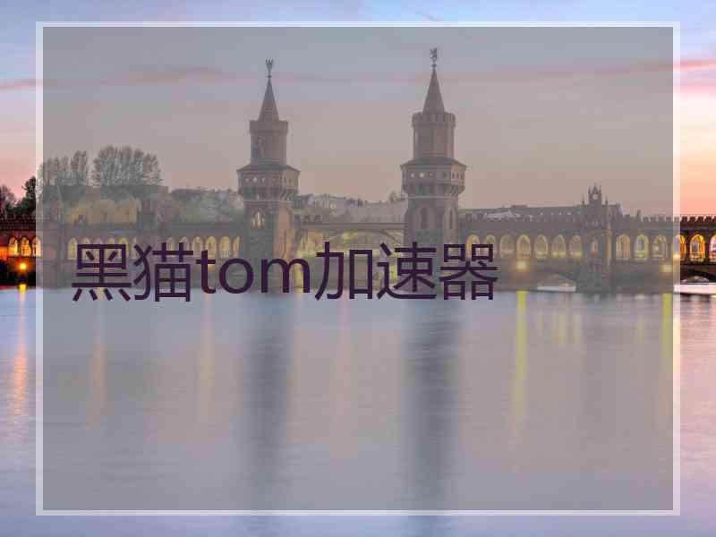 黑猫tom加速器