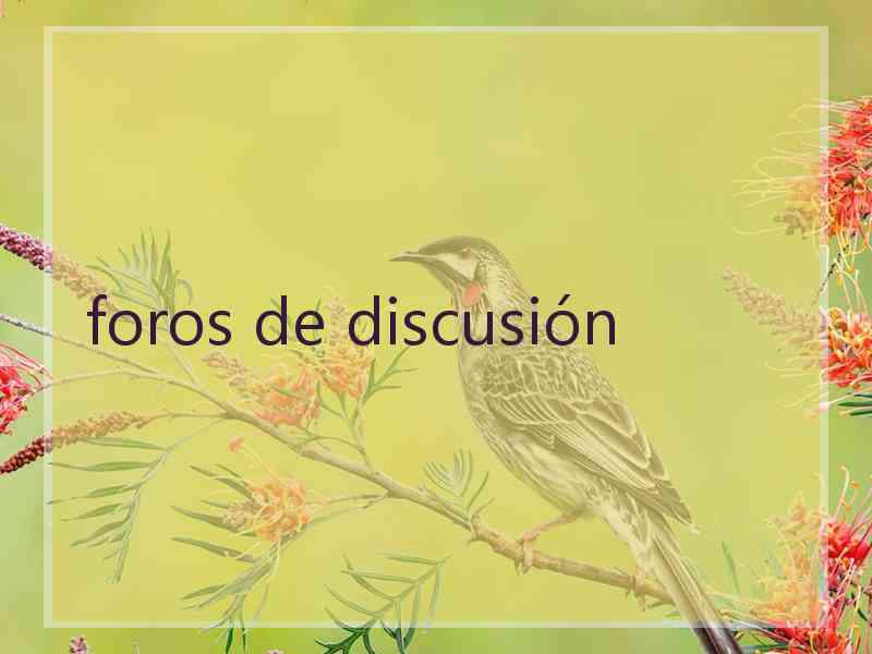foros de discusión