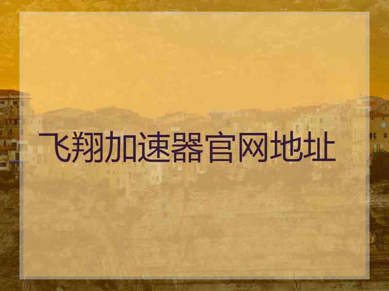 飞翔加速器官网地址