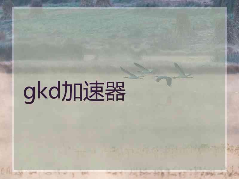 gkd加速器