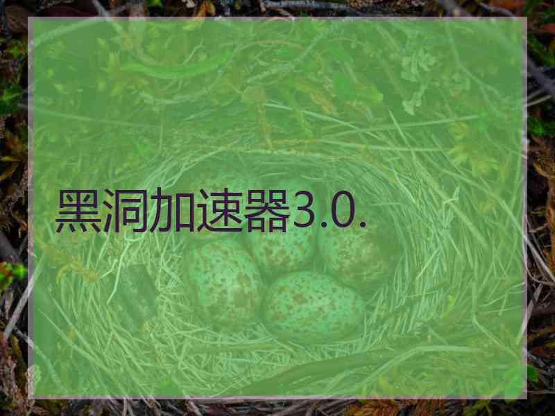 黑洞加速器3.0.
