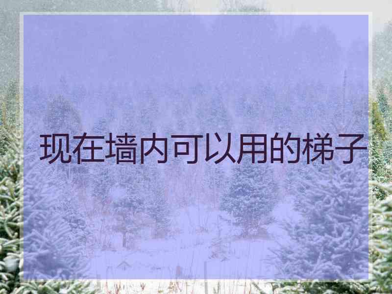 现在墙内可以用的梯子