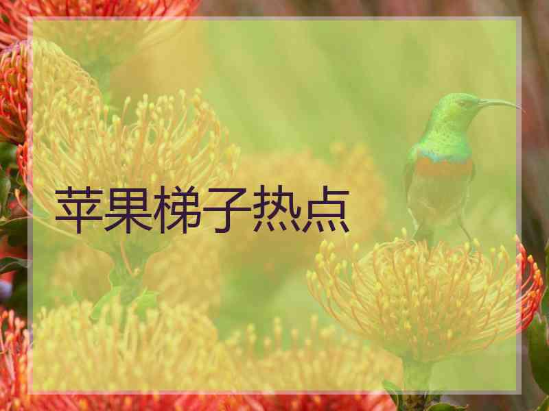 苹果梯子热点